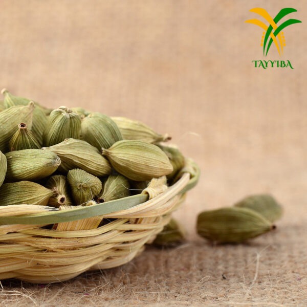 Kapulaga Kapulaga Hijau.